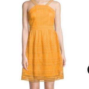 Tahari On My Mind Crochet Fit & Flare Honey Orange